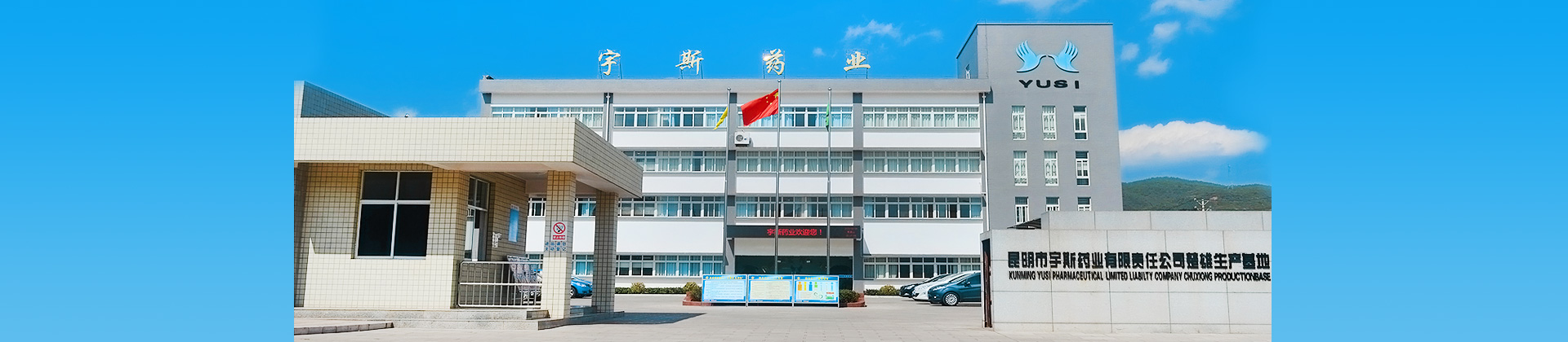 昆明市宇斯药业有限责任公司网站上线了